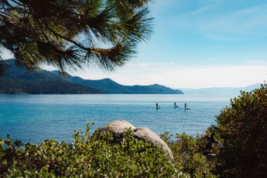 Sustainable Business Spotlight: Local brands to watch at the Go Local Business Expo 