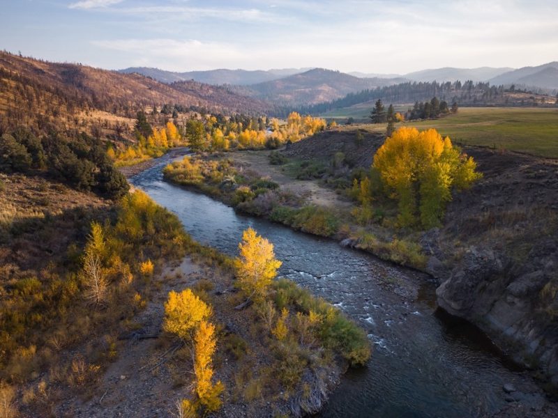 Заповедник Park Ranch в округе Альпине передан штату для сохранения реки и защиты от пожаров