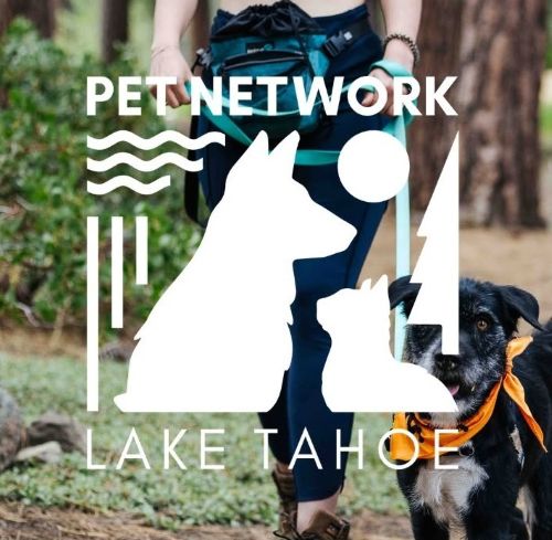 Pet Network Lake Tahoe at Incline Village uncovers more than $2.5M missing due t...